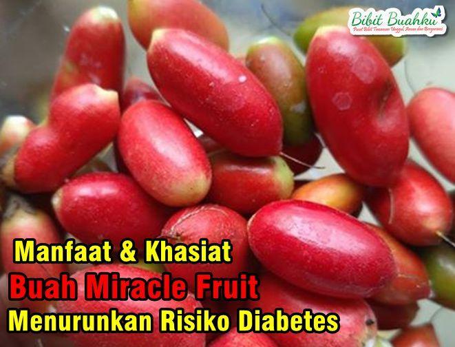 Habanero Dipercaya Sebagai Bahan Makanan yang Berkhasiat Tinggi