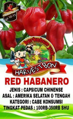 Daftar Habanero 24 Jam: Tempat Penjualan Pedas Terbaik